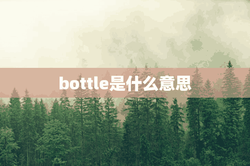 bottle是什么意思